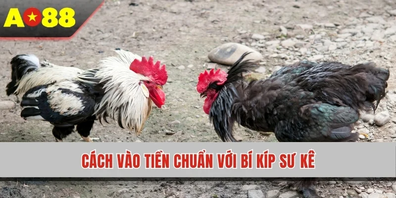 Cách vào tiền chuẩn với bí kíp sư kê