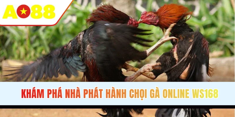 Khám phá nhà phát hành chọi gà online Ws168